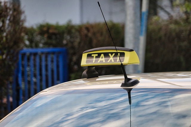 Taxibils tak med skylt där det står taxi i gult och svart. En häck och en järngrind i bakgrunden.
